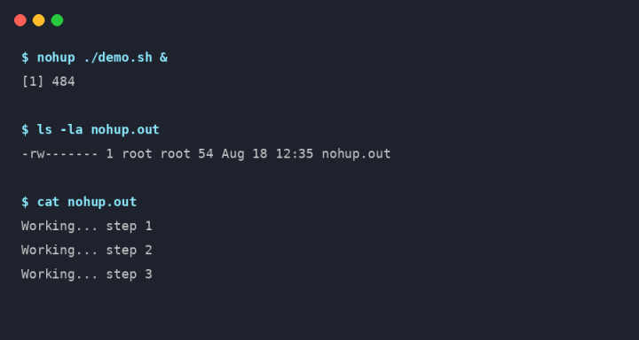 Linux nohup 命令输出示例