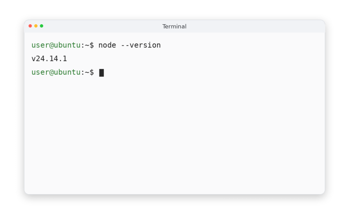 检查 Node 版本命令的输出
