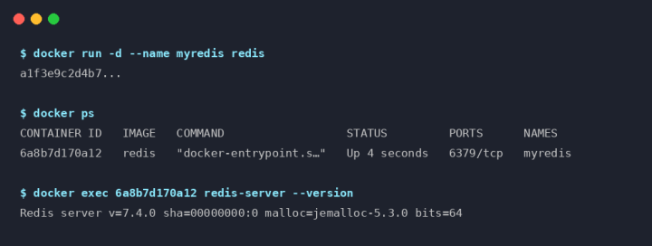 docker exec 命令终端输出