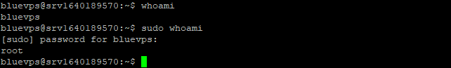 如何在 ubuntu 上安装 virtualmin